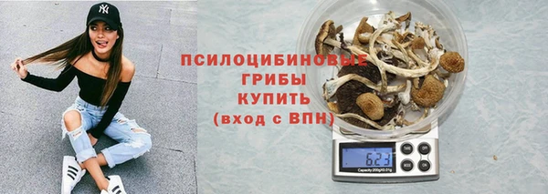 первитин Ельня