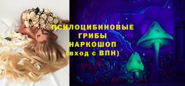 первитин Ельня